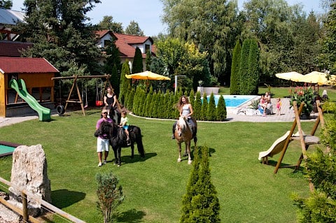 pferde-pool-1.jpg